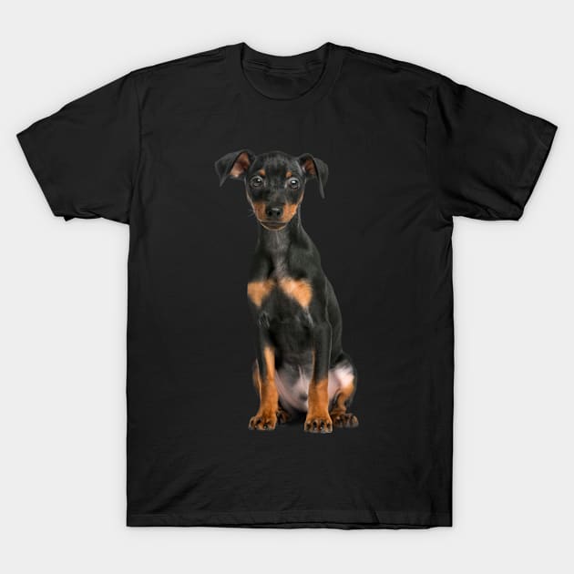 Pinscher - Gift For Pinscher Owner Dog Lover T-Shirt by HarrietsDogGifts